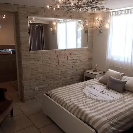 Apartment T1 Cosy Orsay